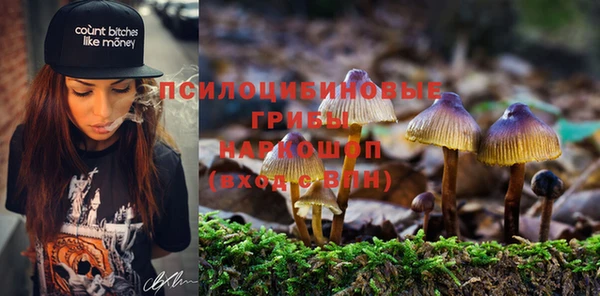 прущая мука Беломорск